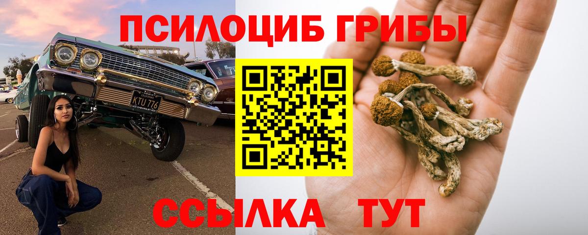 Галлюциногенные грибы Cubensis Ялуторовск
