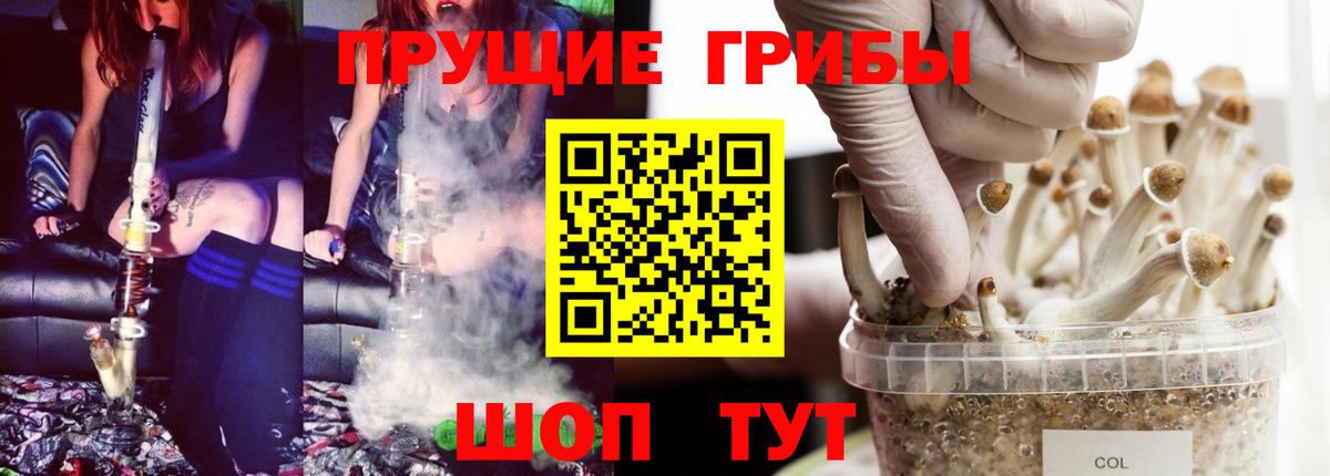 Галлюциногенные грибы MAGIC MUSHROOMS  Вход с VPN  сколько стоит  Ялуторовск 